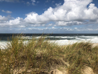 Sylt (Kampen), Nordsee