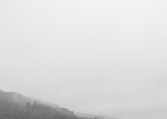 Obraz na płótnie Canvas Wald Nebel
