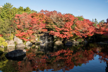Koko-en garden with fall foliage colors near the small pond in Himeji Japan