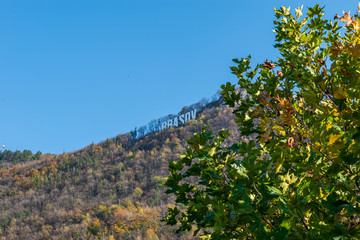 Brasov text on top of the mountain full of vegetation with a tree blurred on the front.