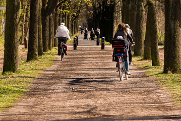 Cyclist from behind on bike path in forest, early spring, sunny day