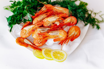 Shrimp on a plate with lemon and dill. White background