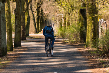 Cyclist from behind on bike path in forest, early spring, sunny day