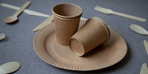 disposable eco dishes from paper cardboard spoon fork knife