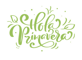 Hand drawn lettering Hola primavera in Spanish. Hello Spring vector illustration. Spring green leaves and grass greeting card with calligraphy © timonko