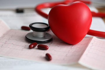 Planned check-up of main organ