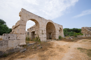 Fototapeta na wymiar Tyre Hippodrome. Roman remains in Tyre. Tyre is an ancient Phoenician city. Tyre, Lebanon - June, 2019