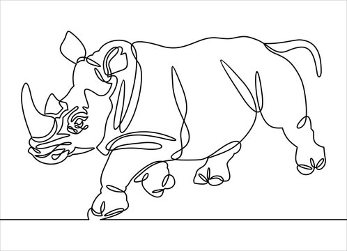 Continuous line drawing of rhino.