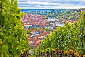 Old town of Wurzburg view from the vineyard hill