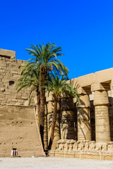 Palms on ruins of the ancient Karnak temple. Luxor, Egypt