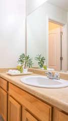 Vertical frame Modern bathroom interior with white wall and view of bathtub toilet and vanity