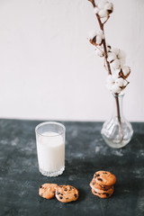Glass with fresh milk and chocolate chips cookies.  Oatmeal cookies  and glass of milk for breakfast. Healthy good morning