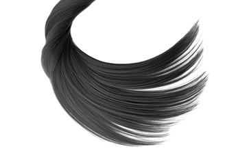Black hair isolated on white background. Long ponytail