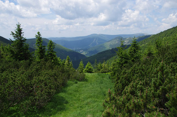 Fototapeta na wymiar Czech mountain landscape in summer - Lucni bouda, Bila louka - Krkonose, Czech Republic