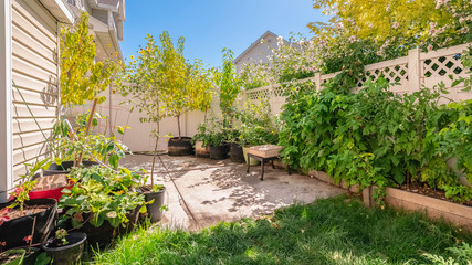 Fototapeta na wymiar Panorama Small leafy green garden surrounded by a wall