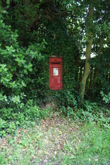 Post box on ivy covered wall