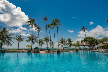 Luxurious open air swimming pool with coconut tree and blue sky