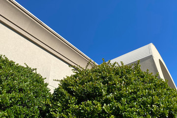 corner top of building with blue sky and bushes