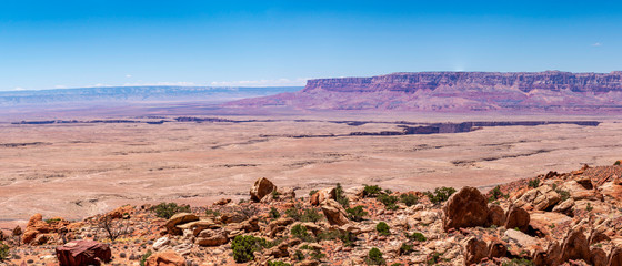 bitter springs grand Canyon panorama landscape with the grand canyon on a sunny day, arizona