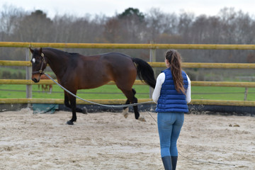 Woman training horse with lanyard