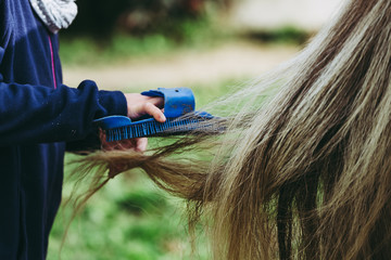 Enfant en train de brosser la queue d'un cheval - obrazy, fototapety, plakaty
