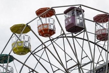 pato brancor oda gigante