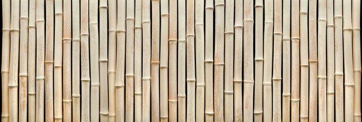 Nice bamboo facade