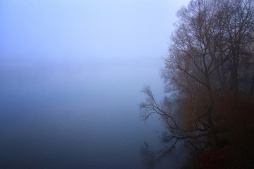 Fototapeta na wymiar Image of winter bare trees and the misty lake at morning time