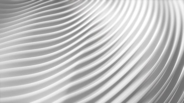 White Stripes 4k Motion Background