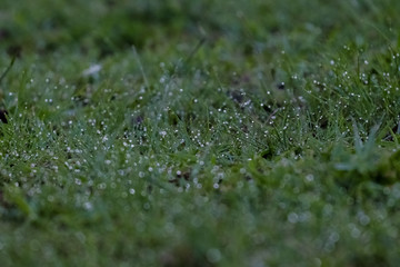 natureza passeio liberdade