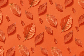 Autumn handmade natural leaves pattern.