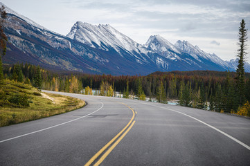 Naklejka premium Road trip on highway with rocky mountains in autumn forest at Banff national park