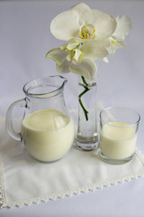 The milk in the jug and a glass, a flower of the white Orchid. White background. Breakfast, simple food, good morning.