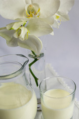 The milk in the jug and a glass, a flower of the white Orchid. White background. Breakfast, simple food, good morning.