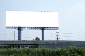 blank billboard near the road