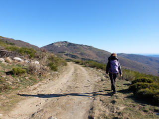 Jeune femme en randonn&eacute;e qui marche sur chemin et sentier en for&ecirc;t