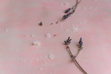 Natural wellness beauty ingredients on pink background. Health care spa therapy with sea salt and lavender,  super food for the skin