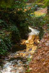 Creative chine stream