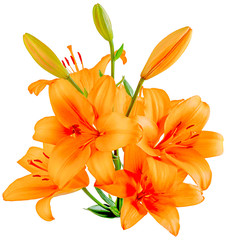 orange Lily bouquet on the side