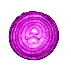 Violet onion slice on a white background, top view