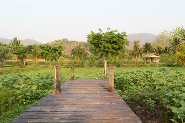 Old wooden bridge on green grass lawn.