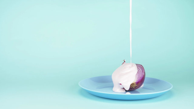  food design. half of the onion is sprinkled with confecti onery sugar sprinkles