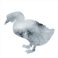 vector, isolated, gray watercolor silhouette duck