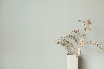 Dry eucalyptus branch in vase on pastel neutral background.
