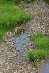 Ausgetrocknetes Flußbett in der Oberlausitz