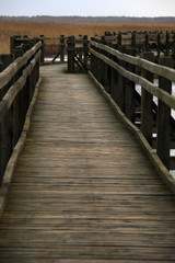 empty wooden pathway