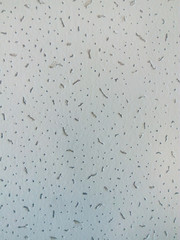 Texture background White dots background