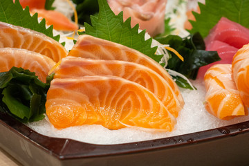 Raw salmon sashimi slice on ice Japanese food