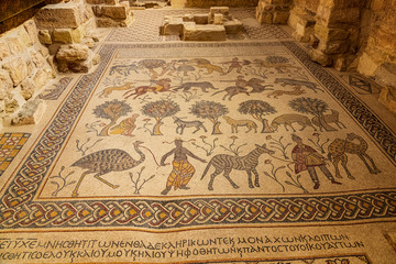 Mt Nebo Church Floor Mosaic Jordan