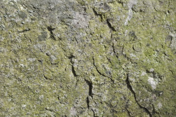 Weathered Moss-Covered Stone Surface with Cracks